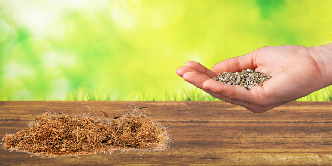 Coconut Coir vs Vermiculite