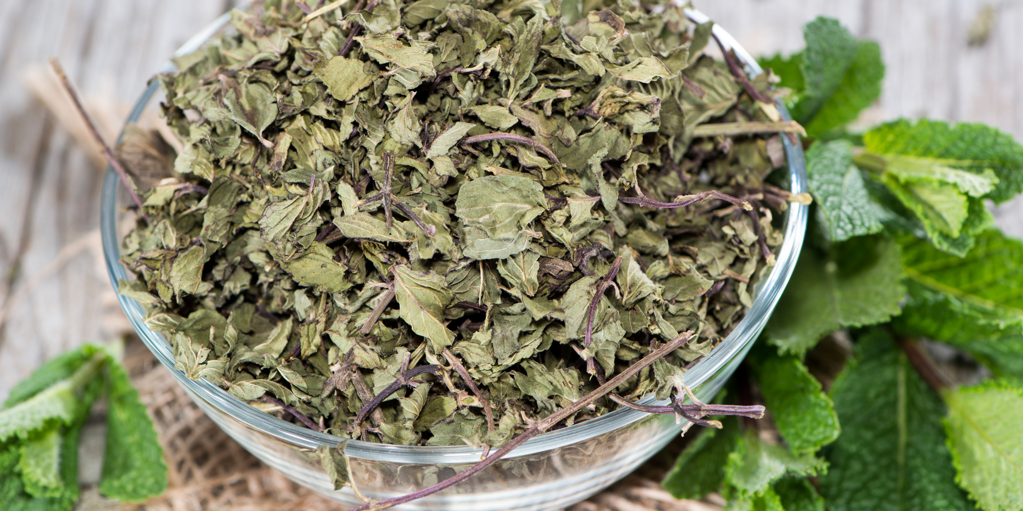 how to dry and store mint