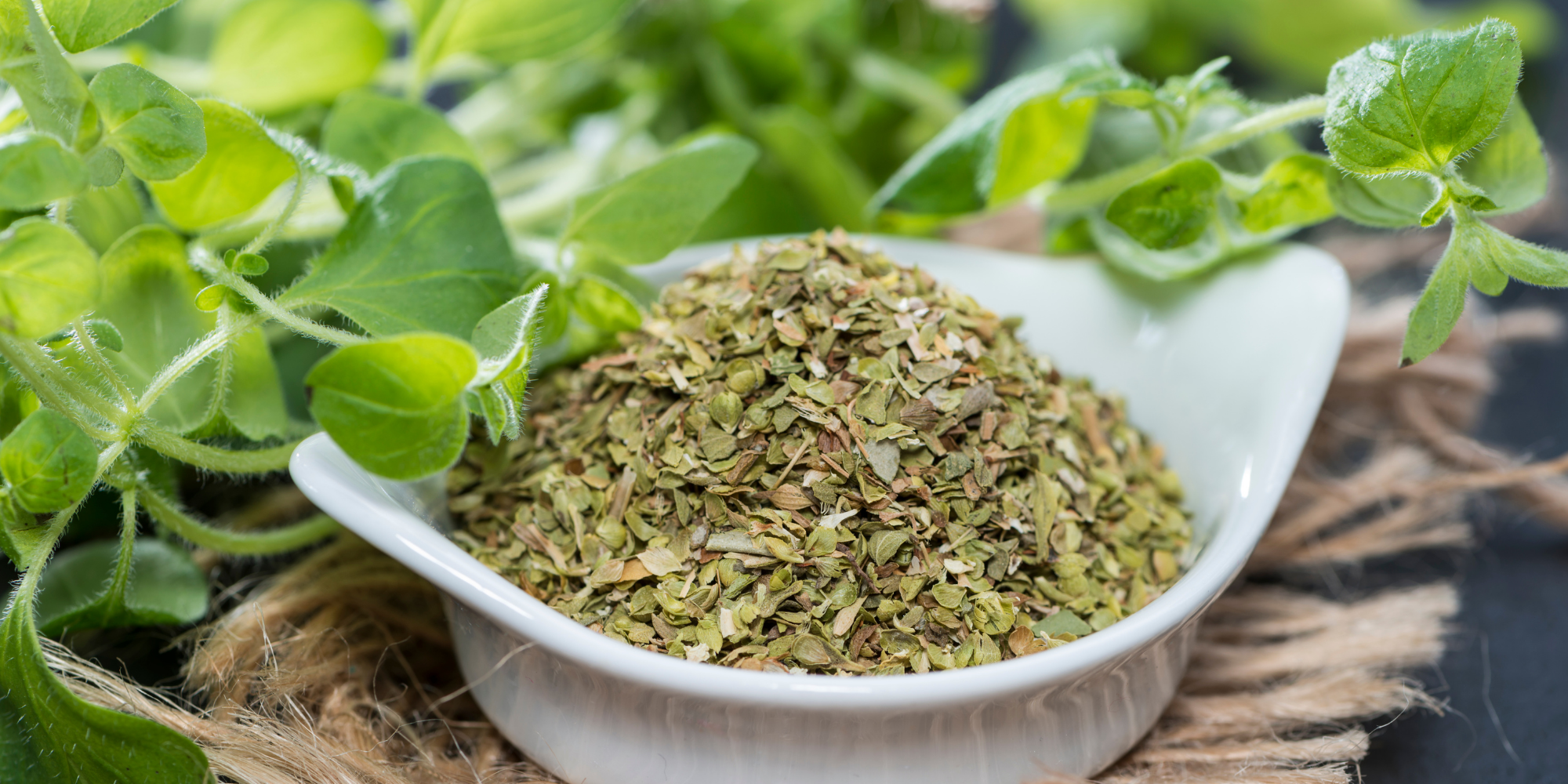 How to dry and store oregano