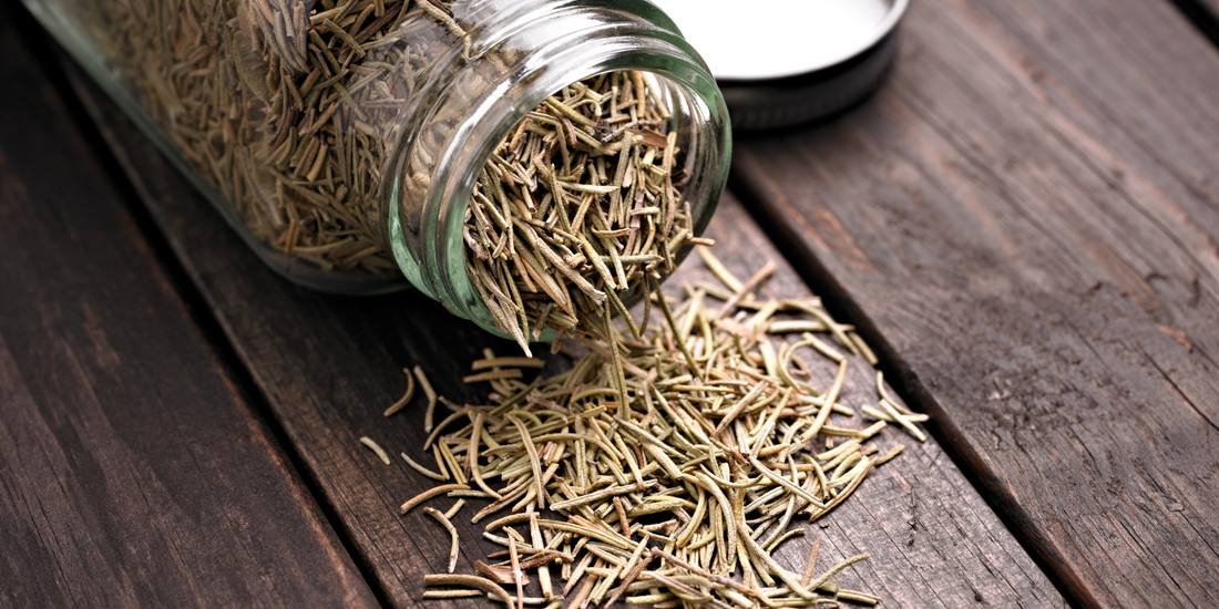 how to dry and store rosemary