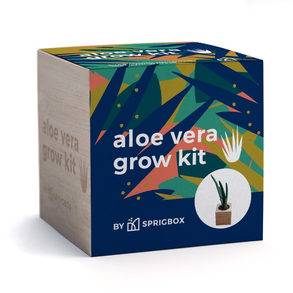 Aloe Vera Sprigbox
