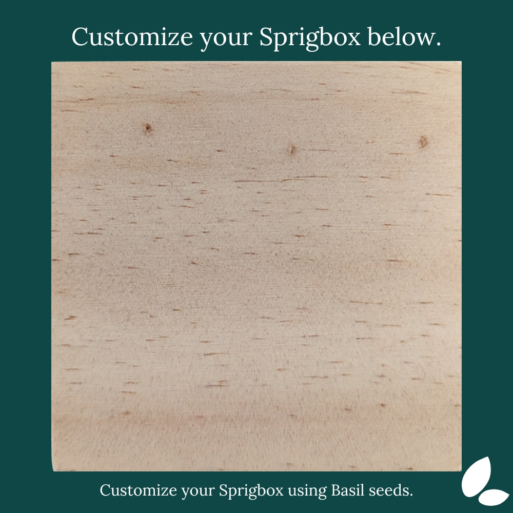 Custom - Original Sprigbox | Wooden Planter Grow Kit