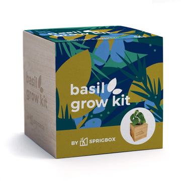 Basil grow kit