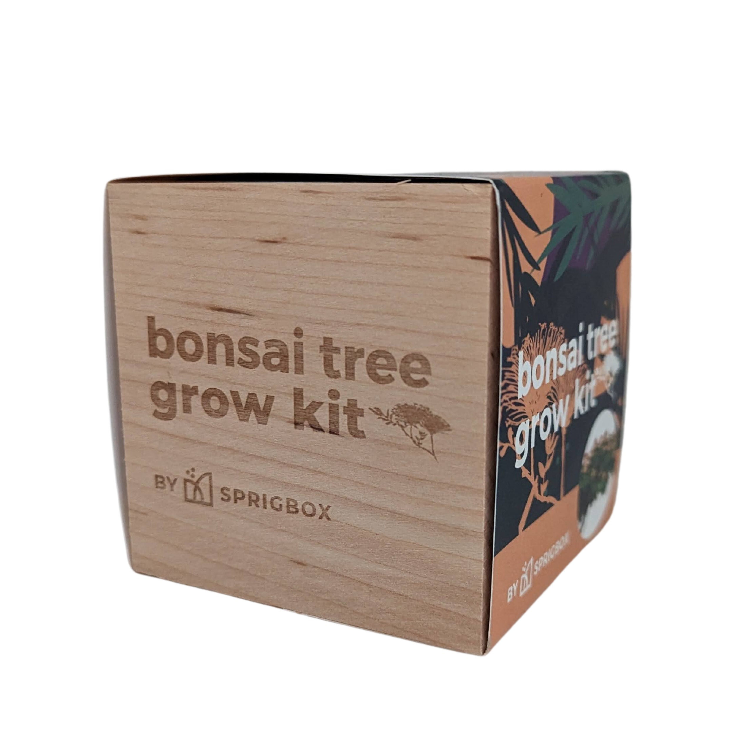 Grow Kit - Bonsai Tree - Sprigbox