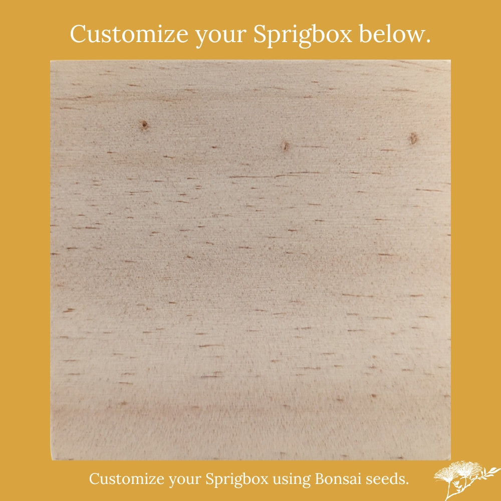 Custom - Original Sprigbox | Wooden Planter Grow Kit