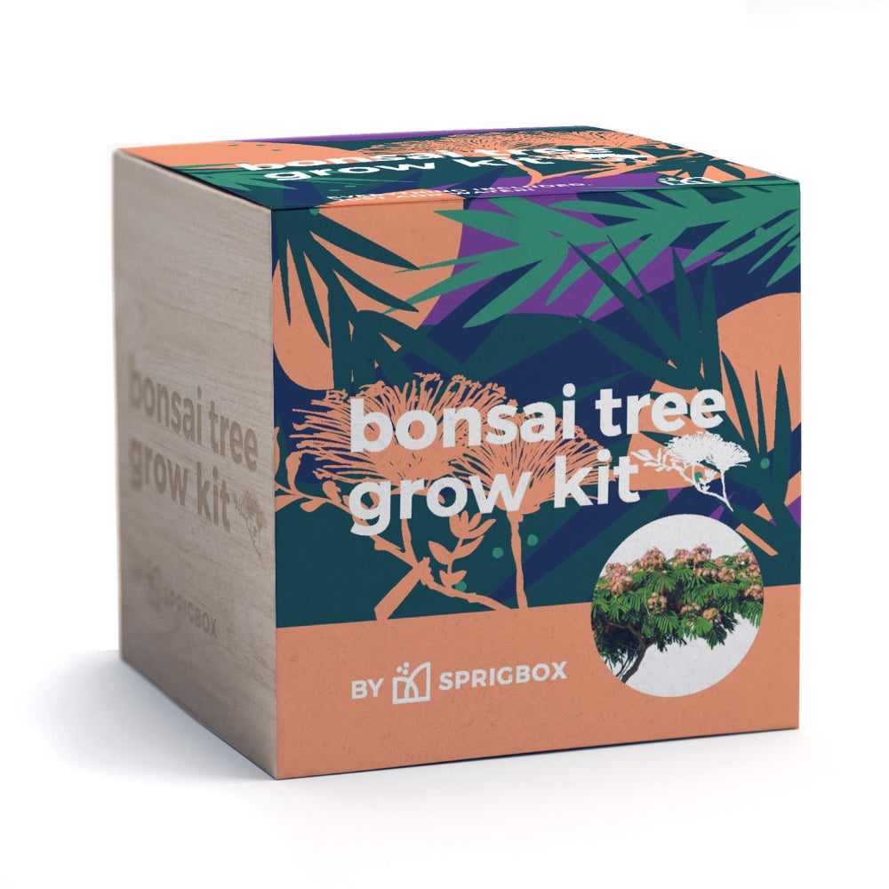 Bonsai tree grow kit