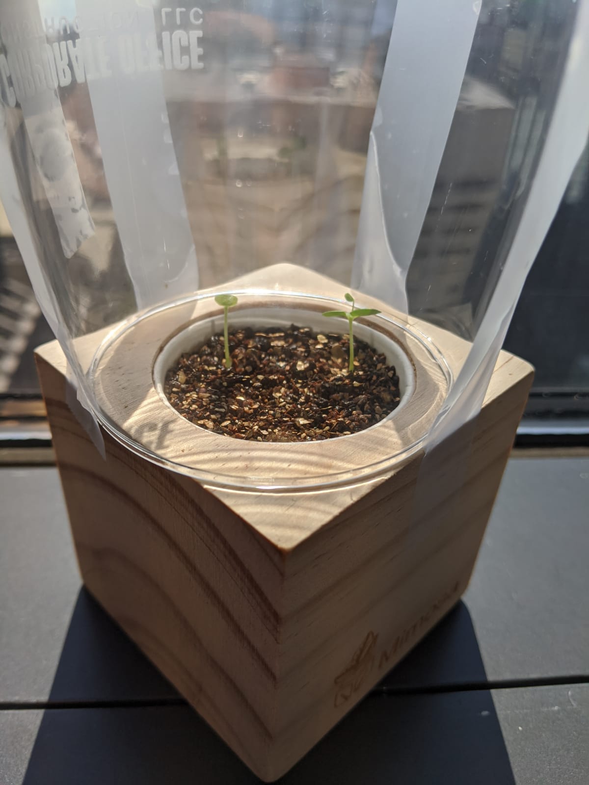 Sprigbox