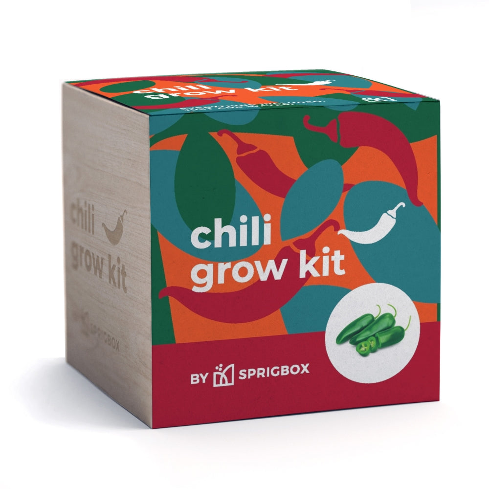 Chili grow kit