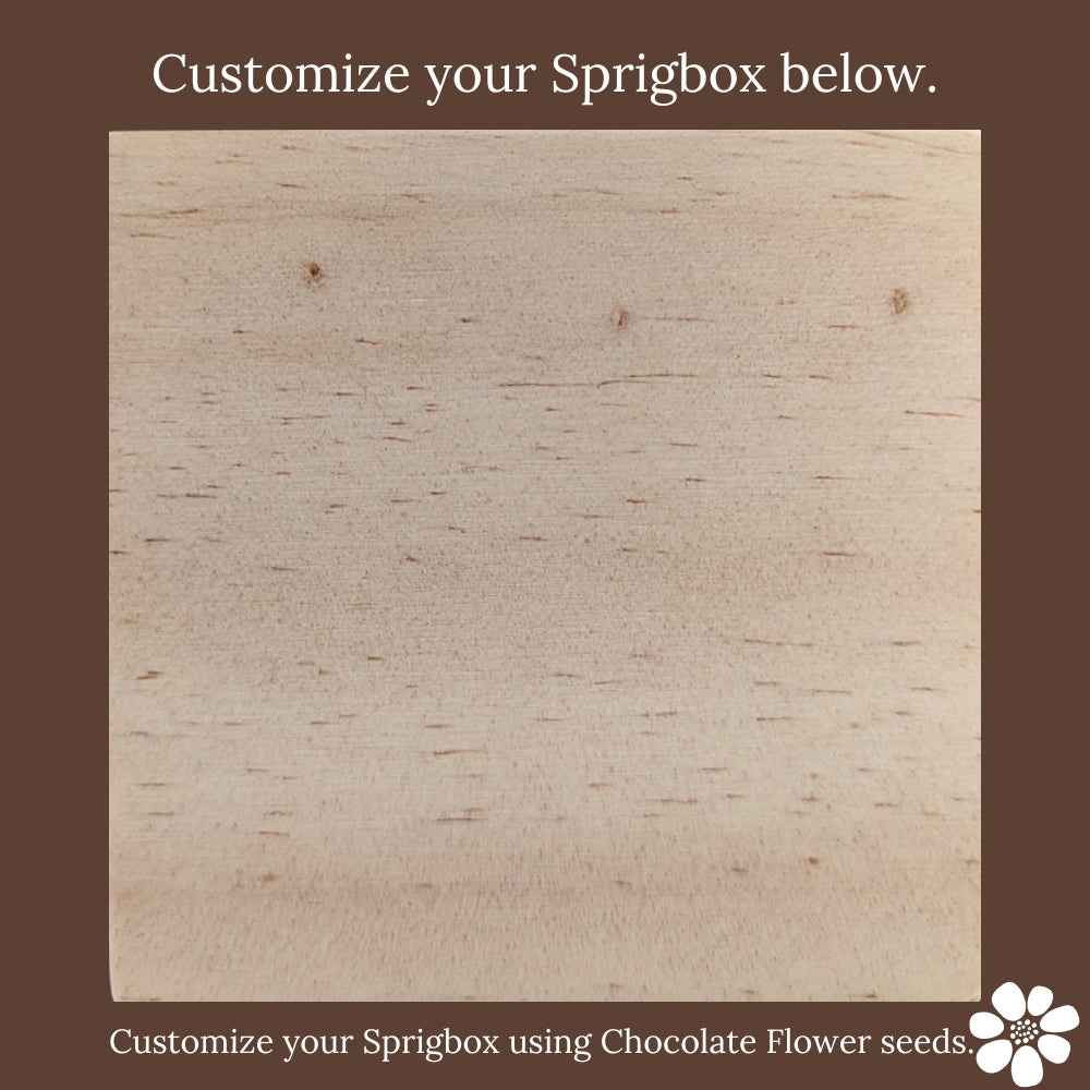 Custom - Original Sprigbox | Wooden Planter Grow Kit