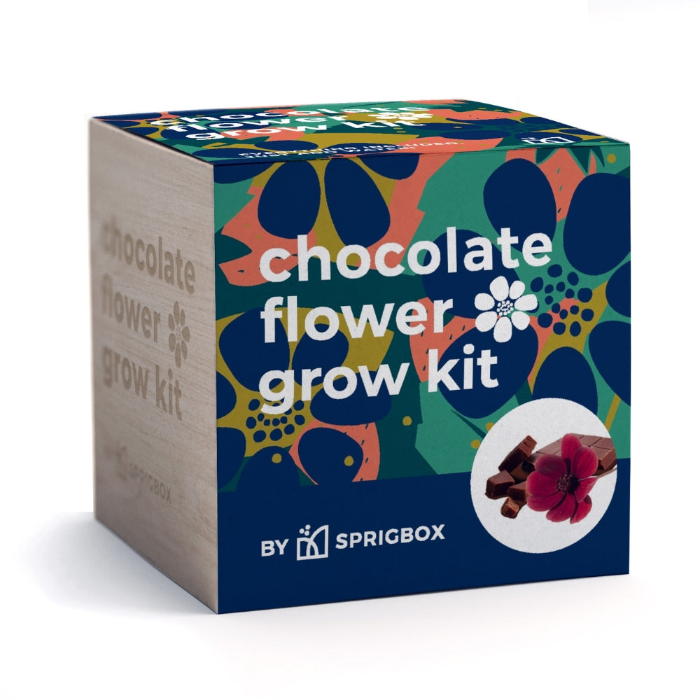 Chocolate Flower Grow Kit