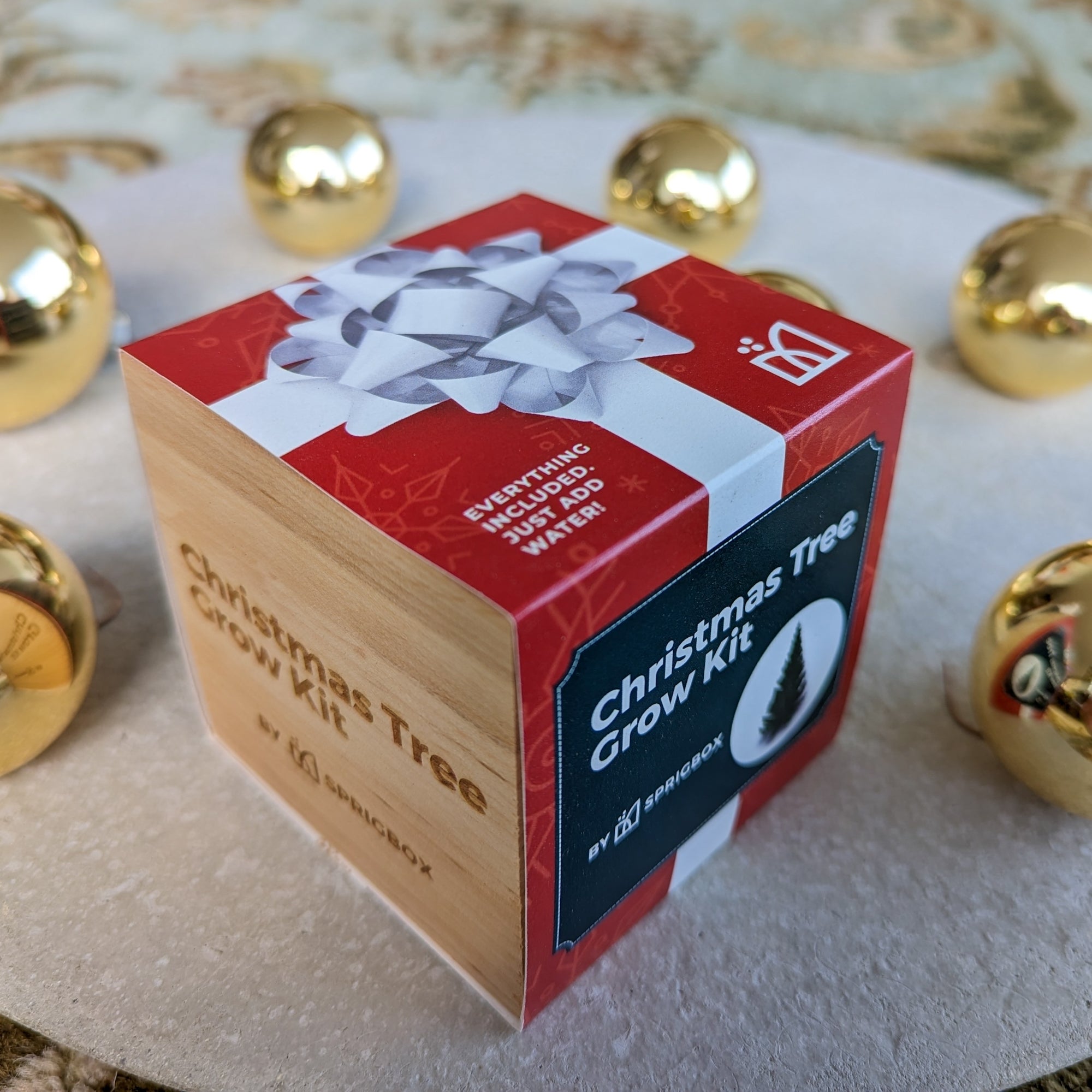 Grow Kit - Christmas Tree - Sprigbox