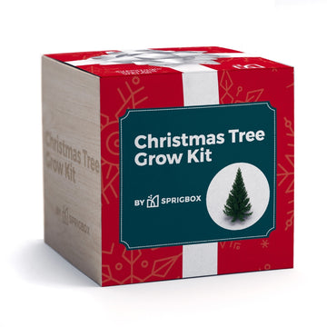 Christmas tree grow kit