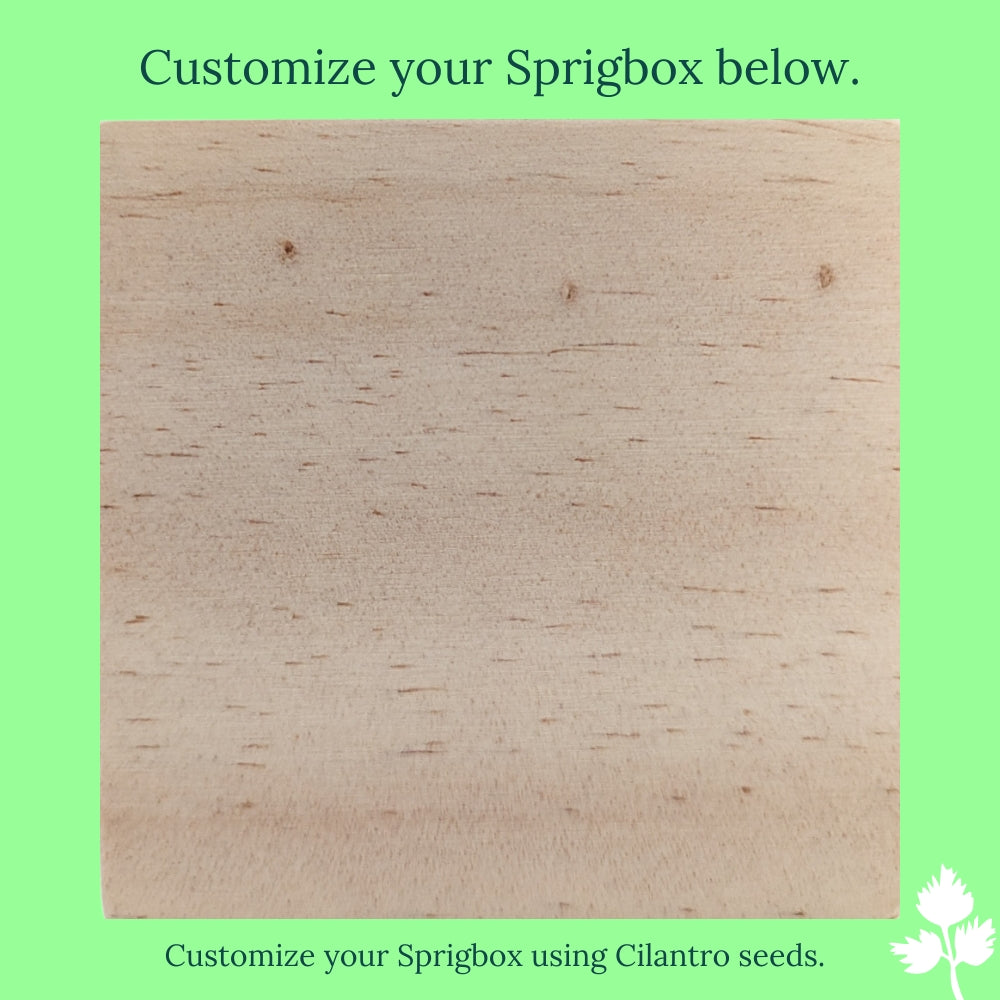 Custom - Original Sprigbox | Wooden Planter Grow Kit