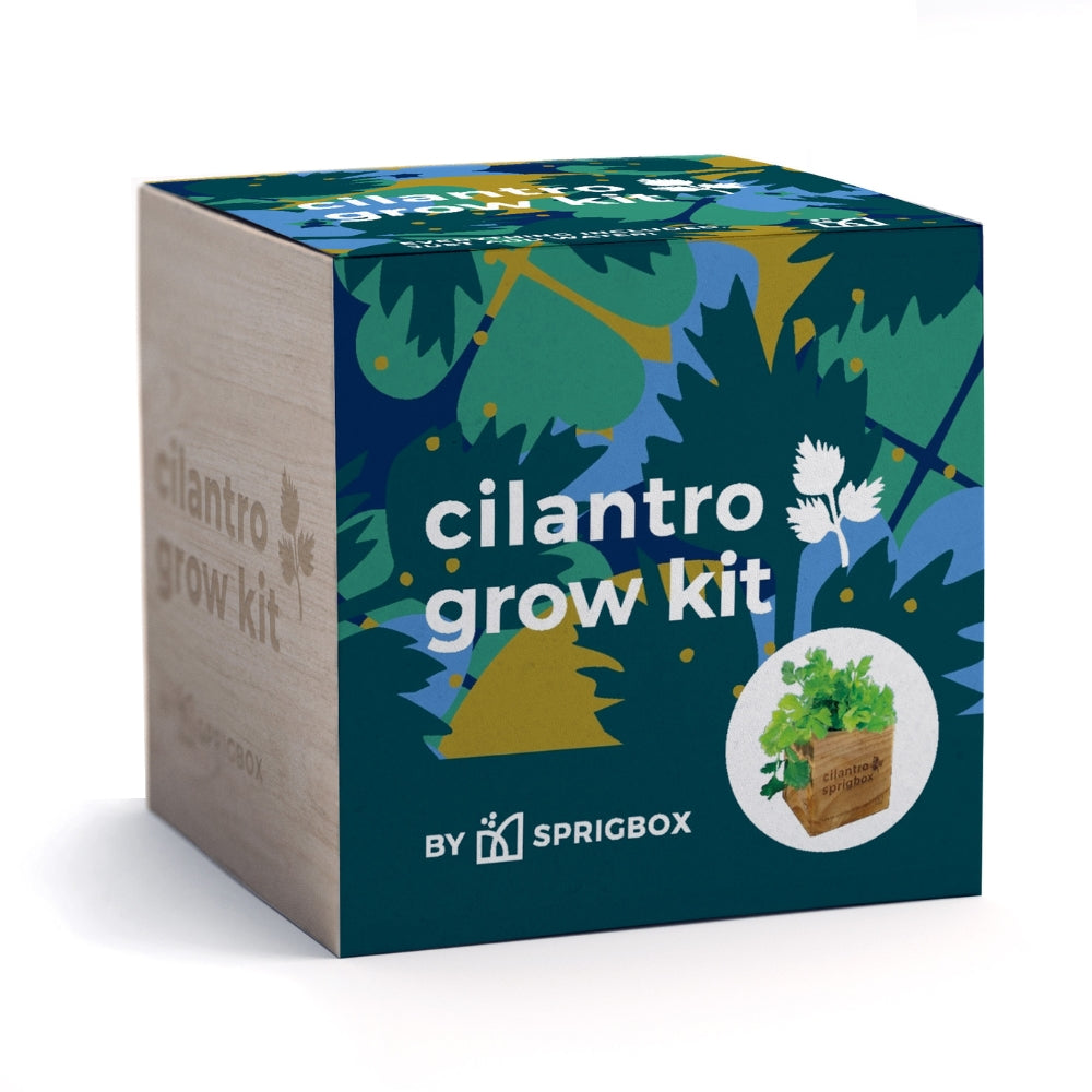 Cilantro Grow Kit