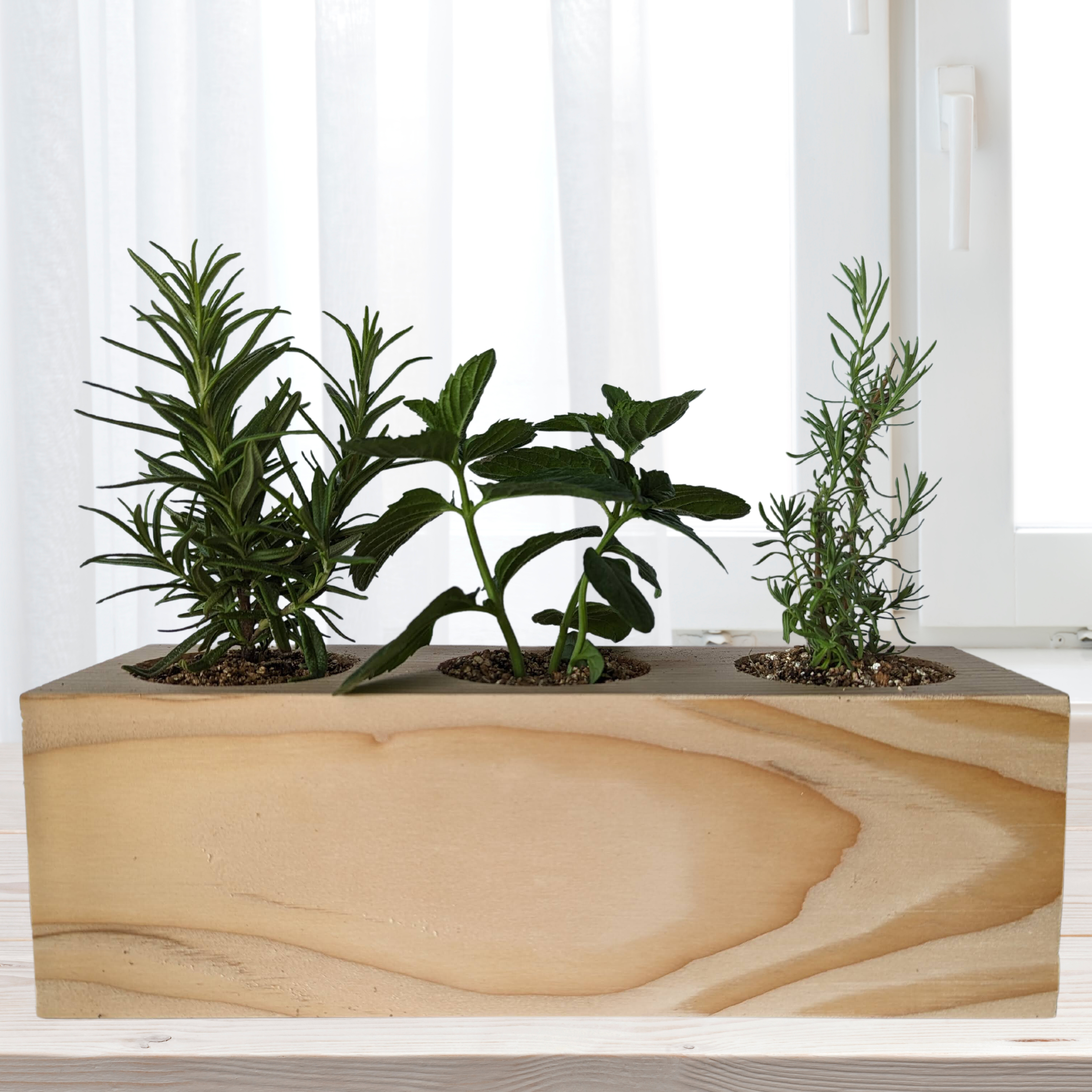 Starter Kit - Cocktail Garden - Sprigbox