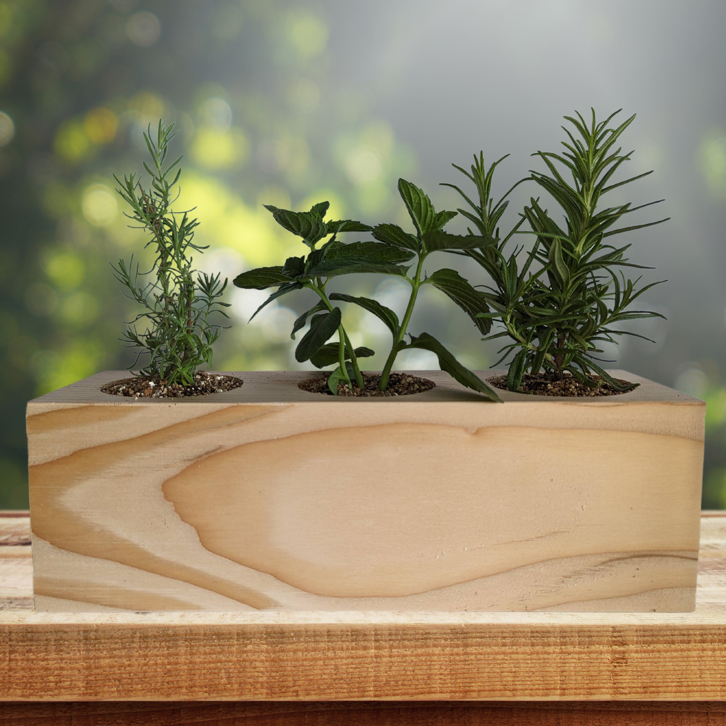 Starter Kit - Cocktail Garden - Sprigbox