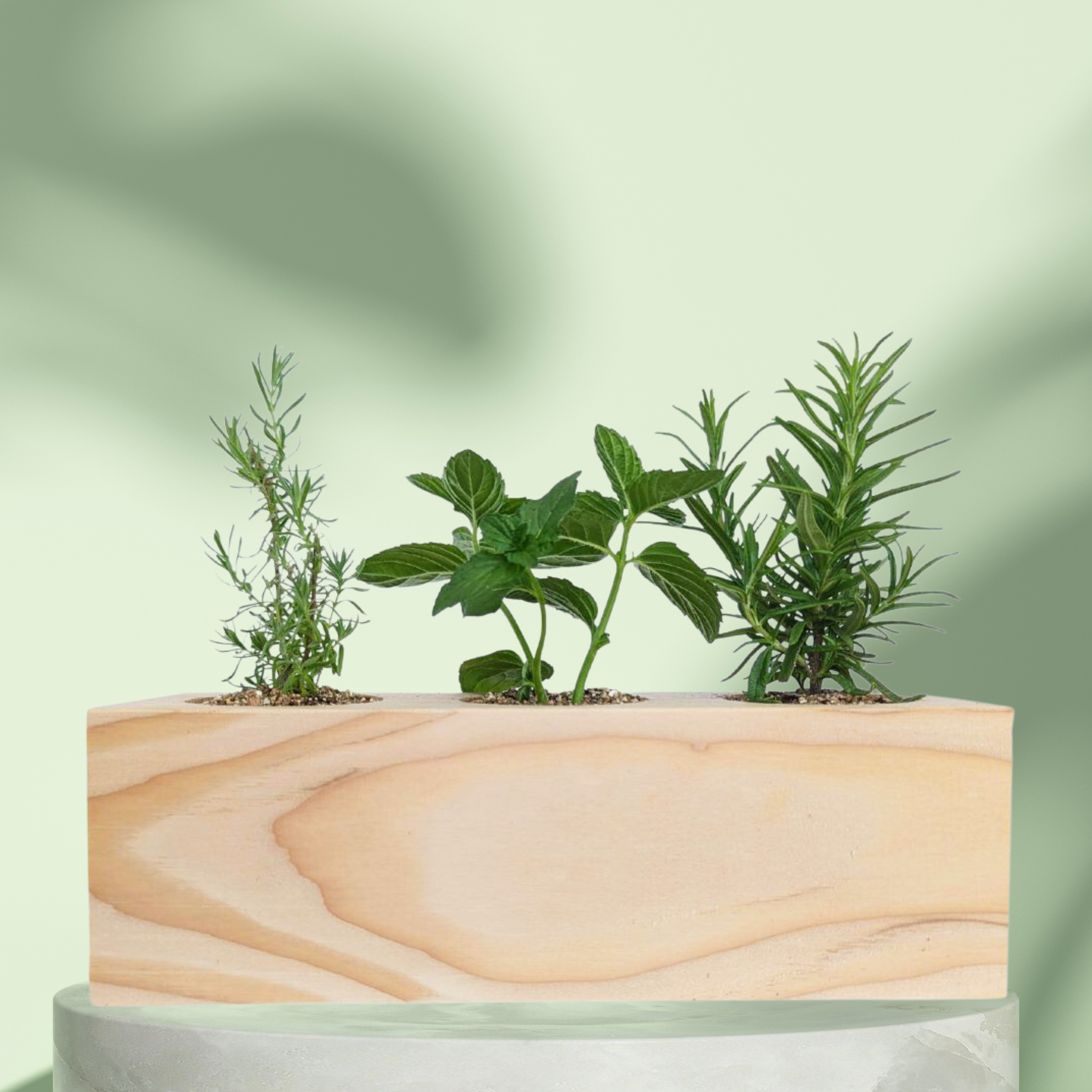 Starter Kit - Cocktail Garden - Sprigbox