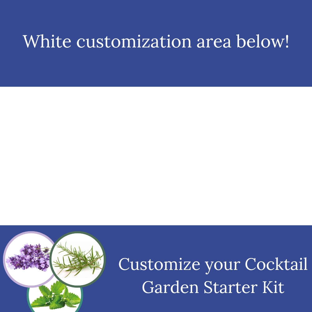 Custom - Starter Kit