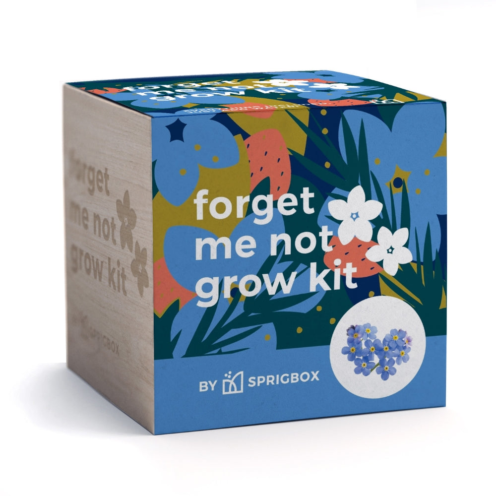 Forget Me Not Grow Kit