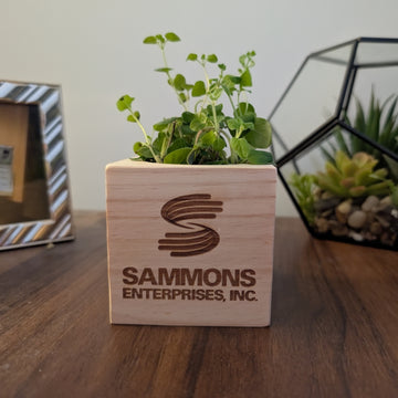 Custom - Original Sprigbox | Wooden Planter Grow Kit