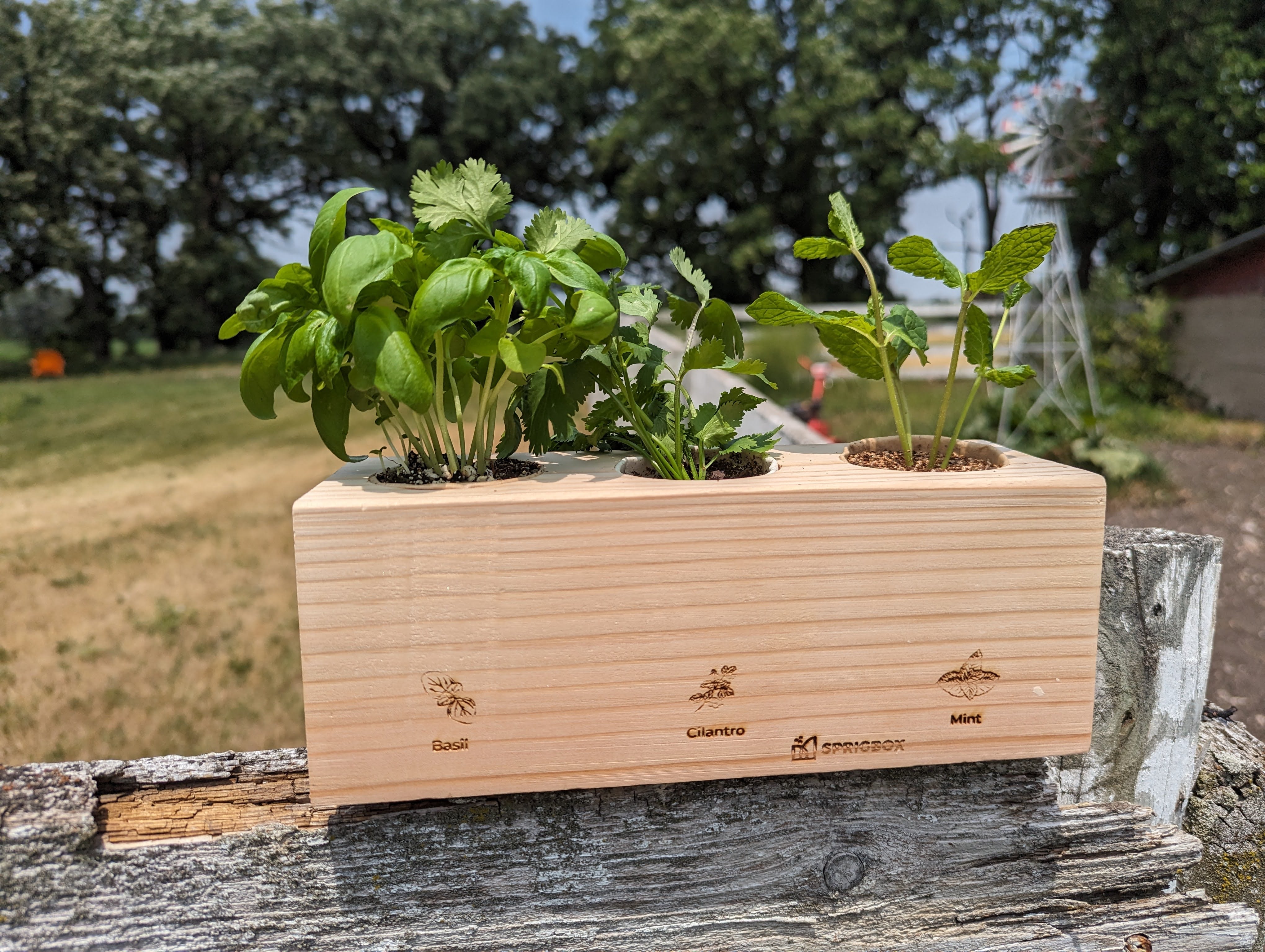 Starter Kit - Herb Garden - Sprigbox