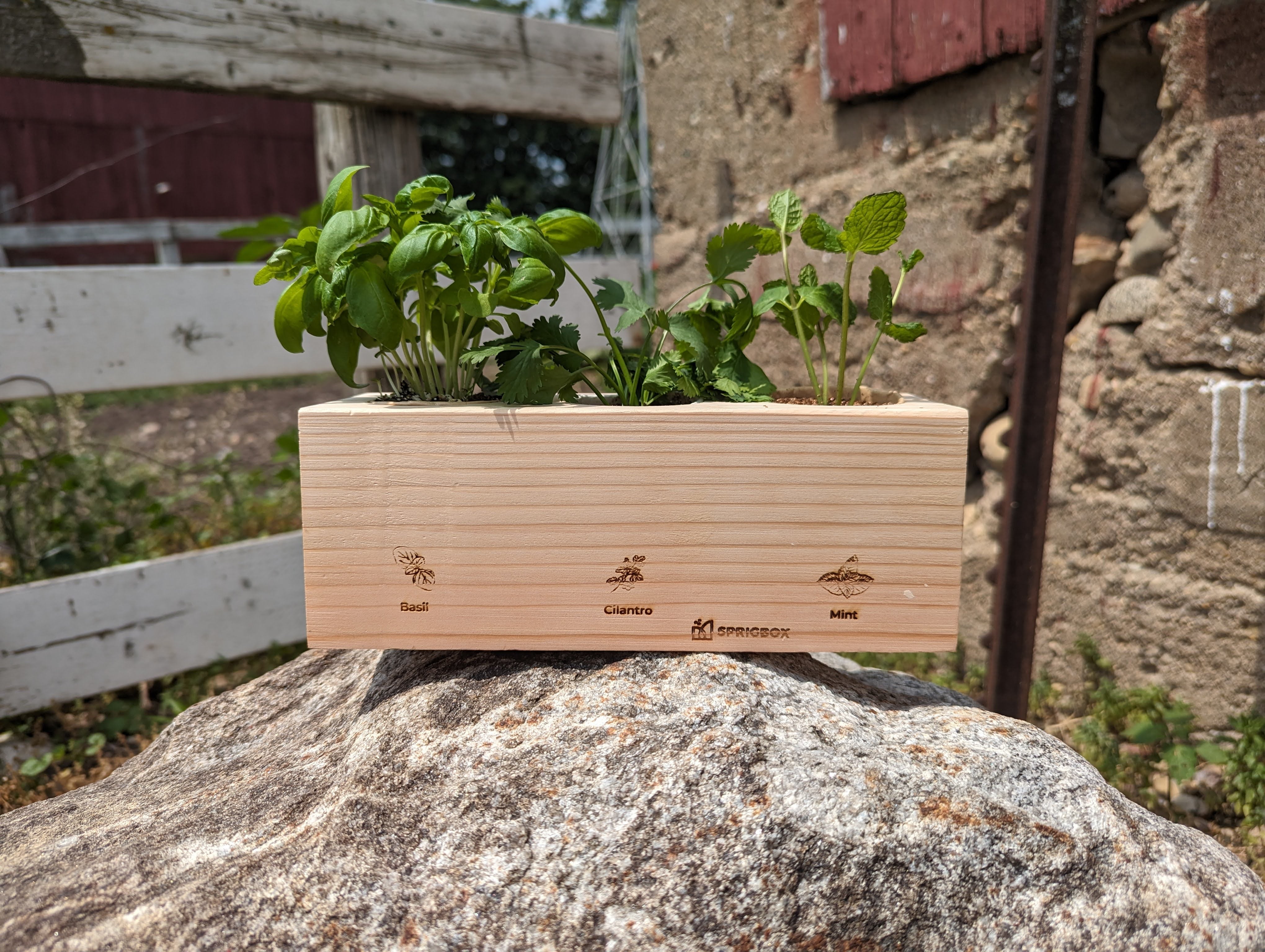 Starter Kit - Herb Garden - Sprigbox
