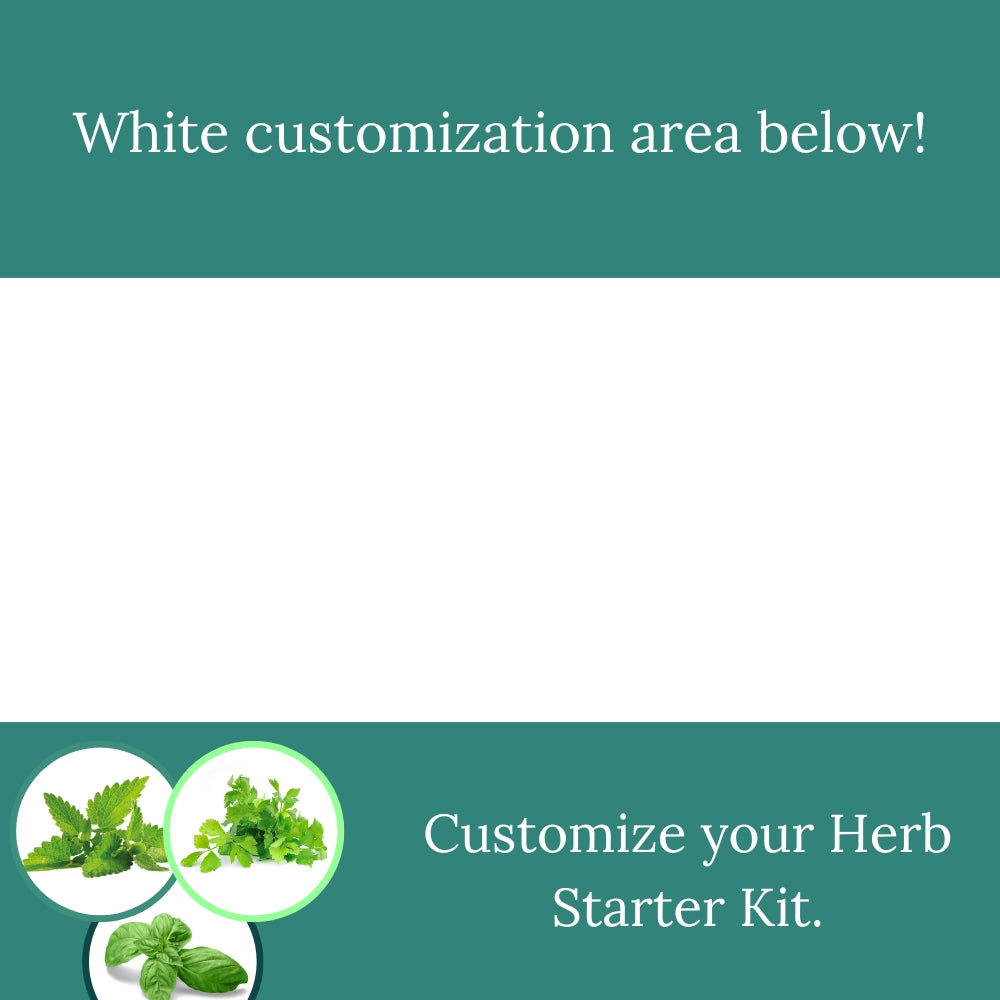 Custom - Starter Kit