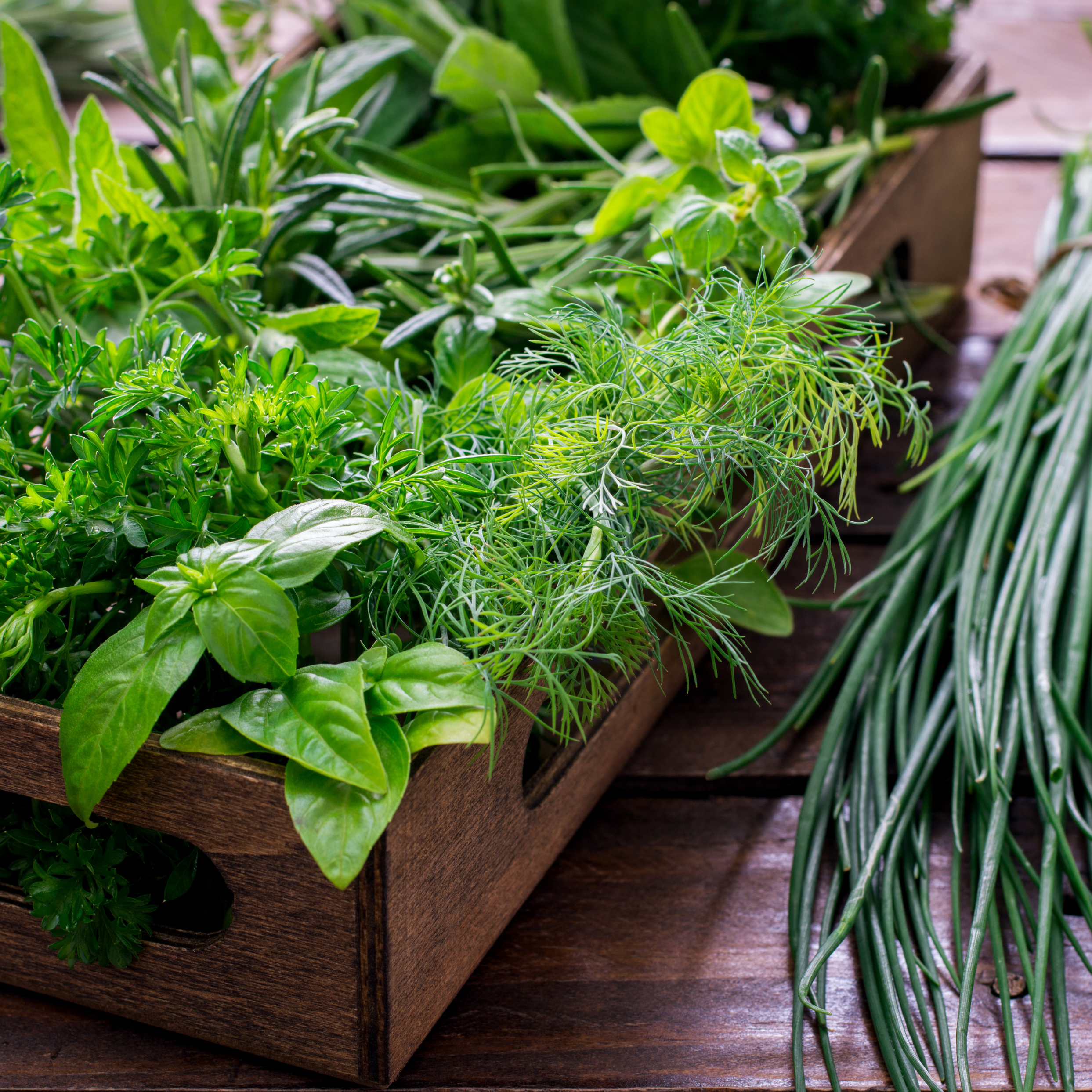 Herbs