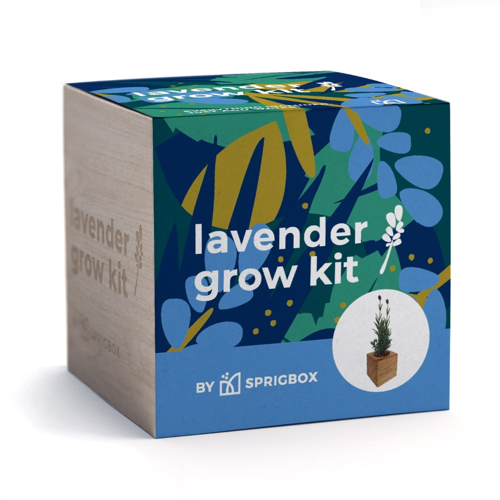 Lavender Grow Kit