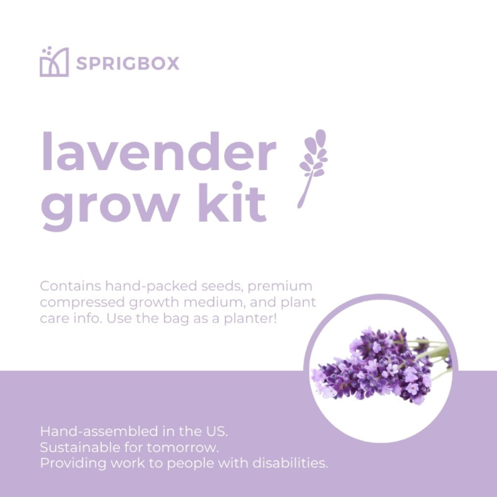 Pocket Garden | 18 Seed Types | Compact All-Inclusive Grow Kit