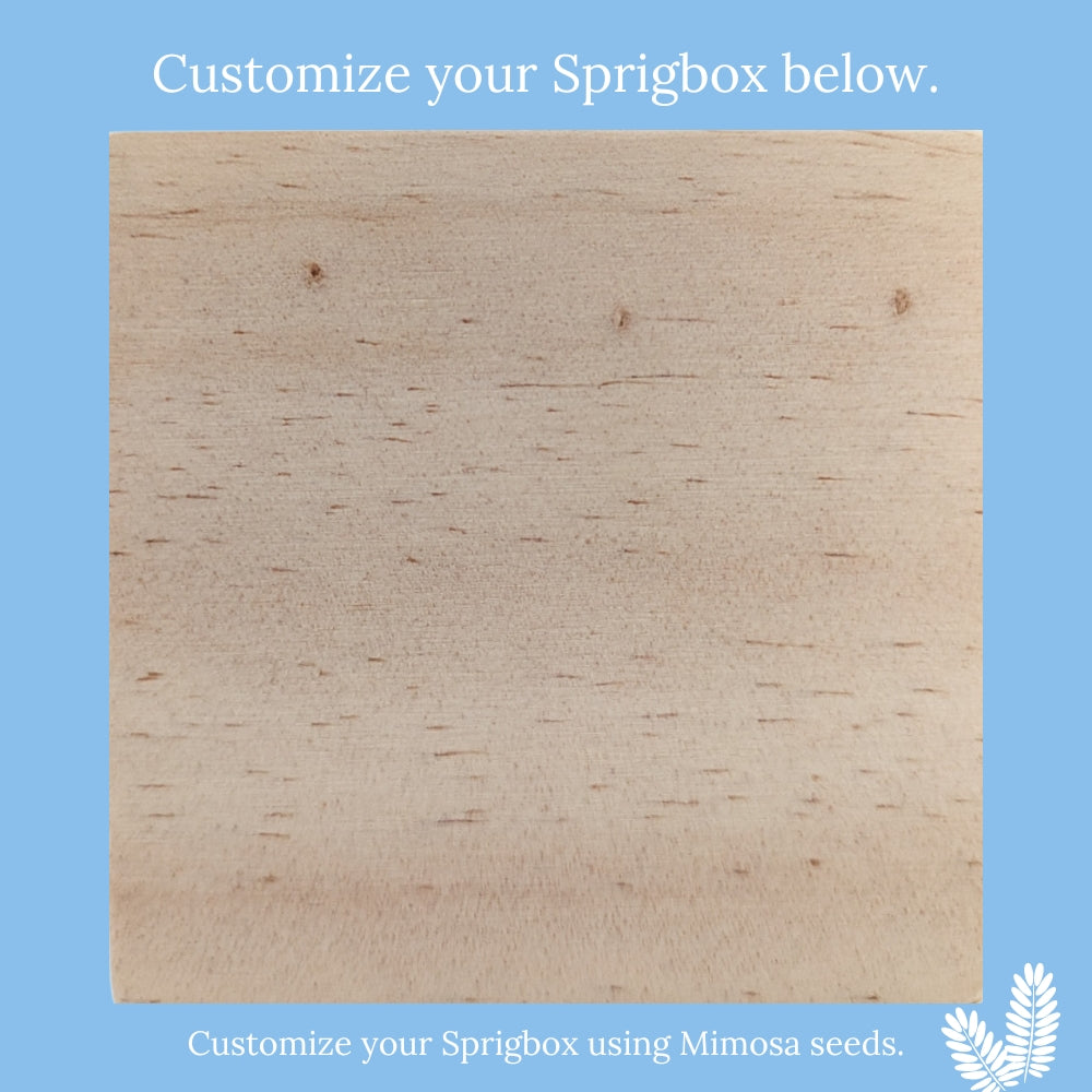 Custom - Original Sprigbox | Wooden Planter Grow Kit