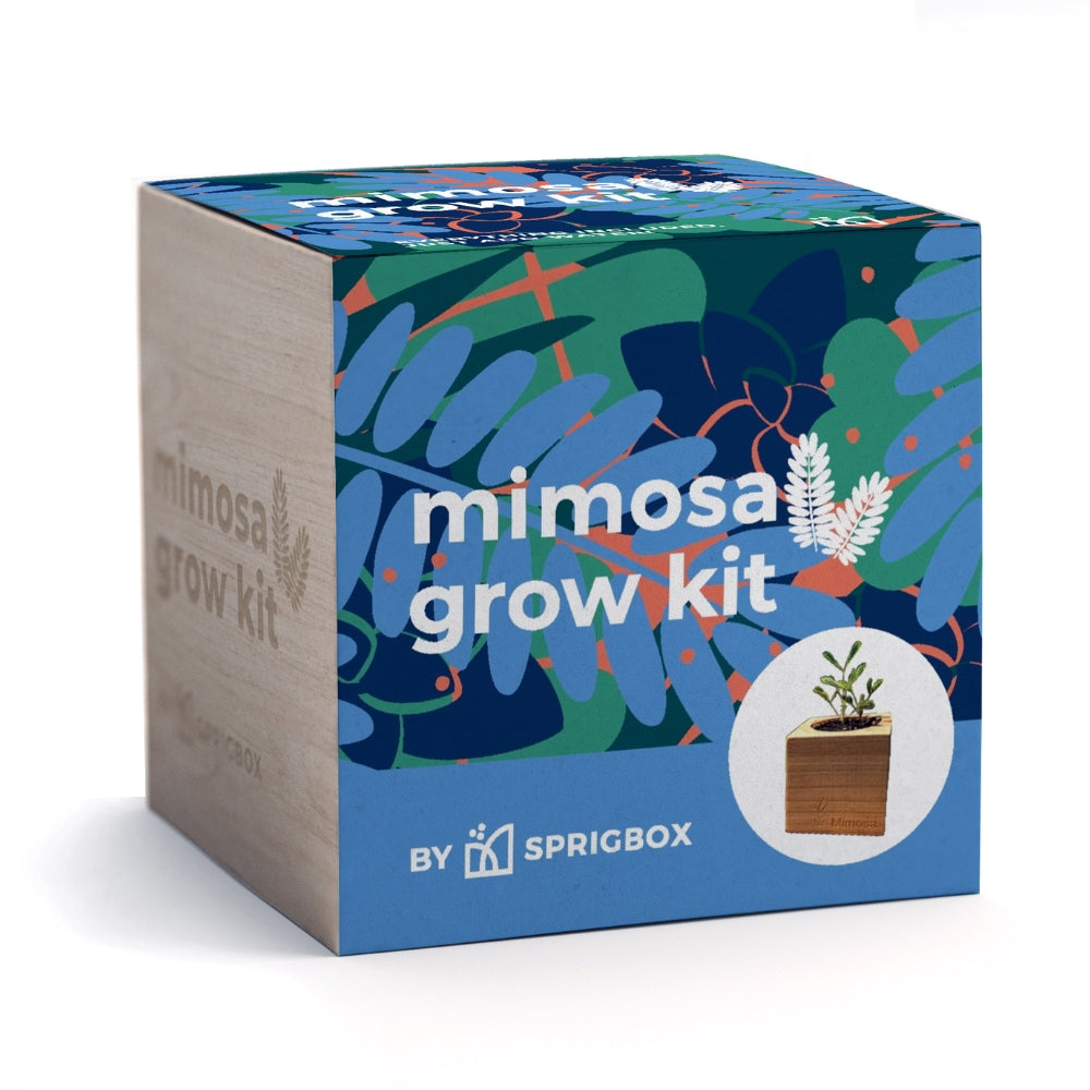 Mimosa Grow Kit