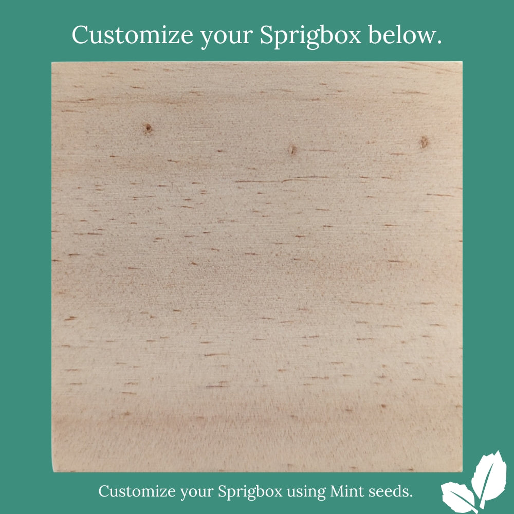 Custom - Original Sprigbox | Wooden Planter Grow Kit