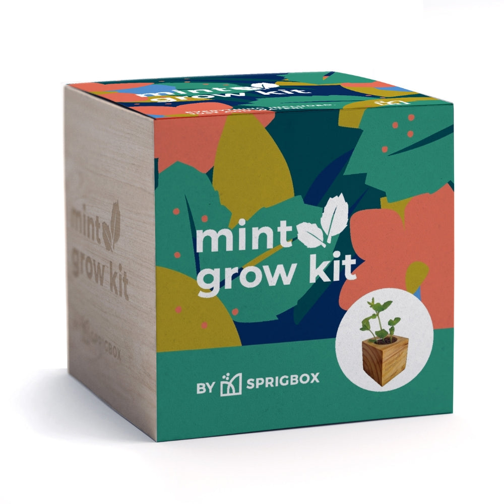 Mint Grow Kit