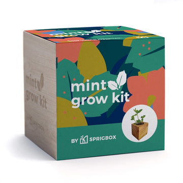 Mint Grow Kit
