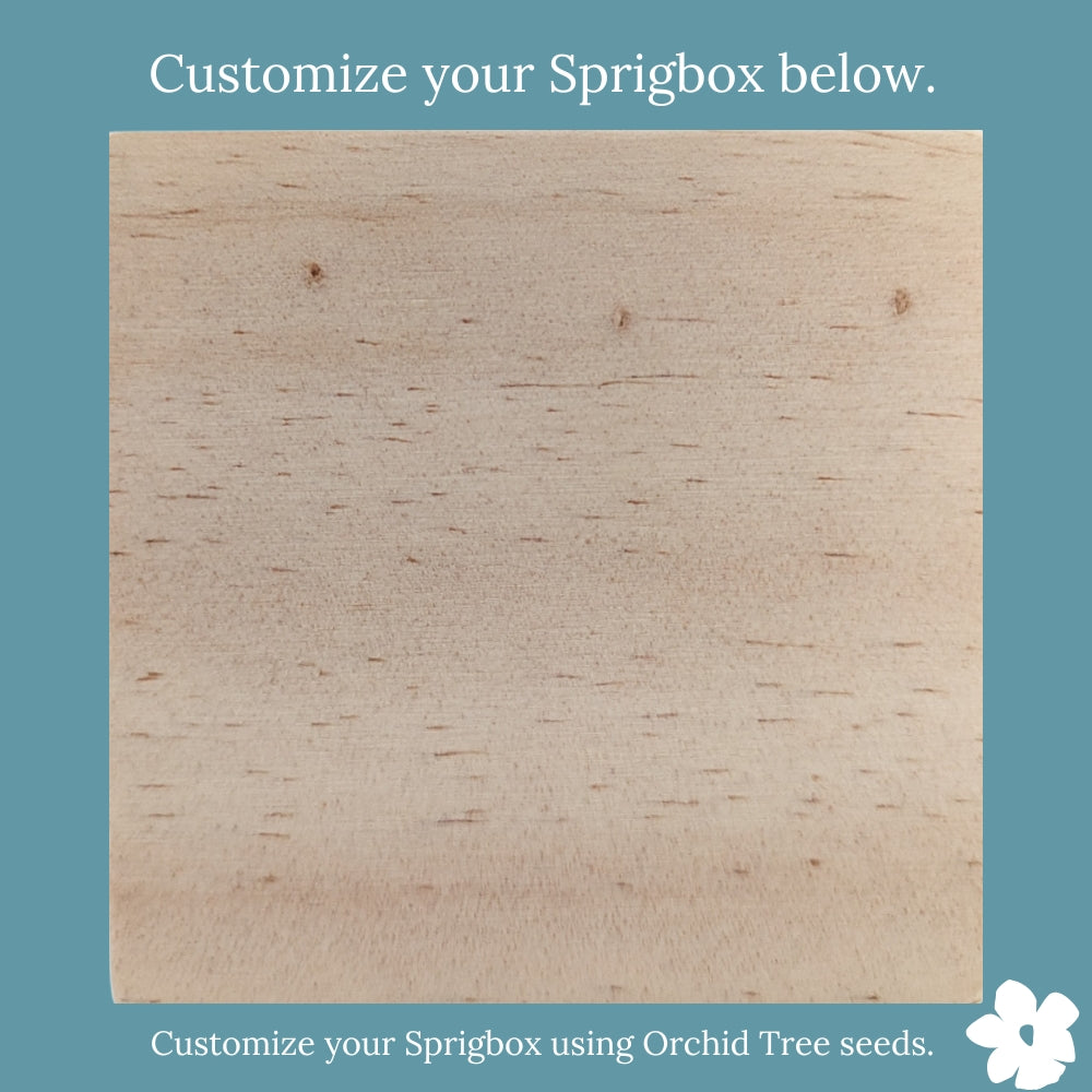 Custom - Original Sprigbox | Wooden Planter Grow Kit