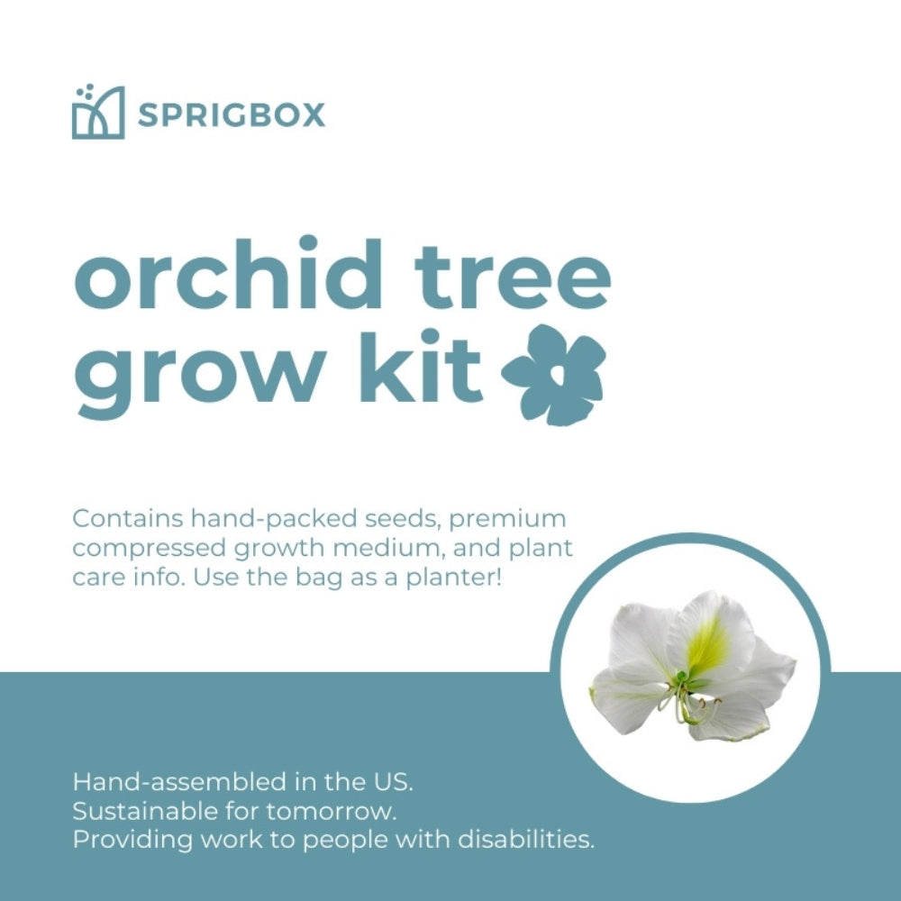 Pocket Garden | 18 Seed Types | Compact All-Inclusive Grow Kit