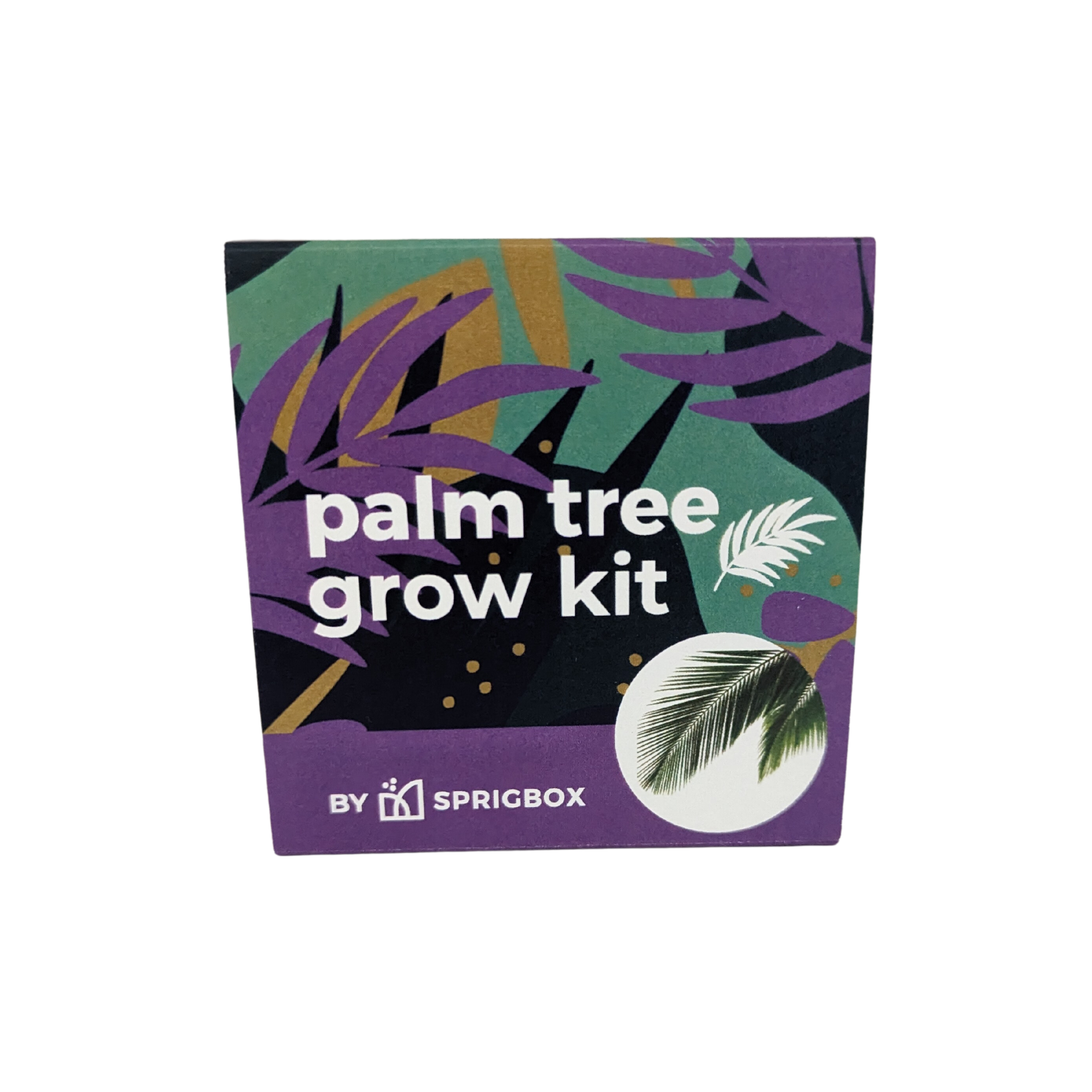 Grow Kit - Palm Tree - Sprigbox