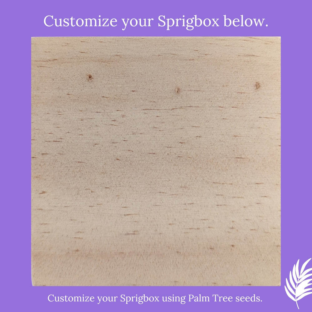 Custom - Original Sprigbox | Wooden Planter Grow Kit