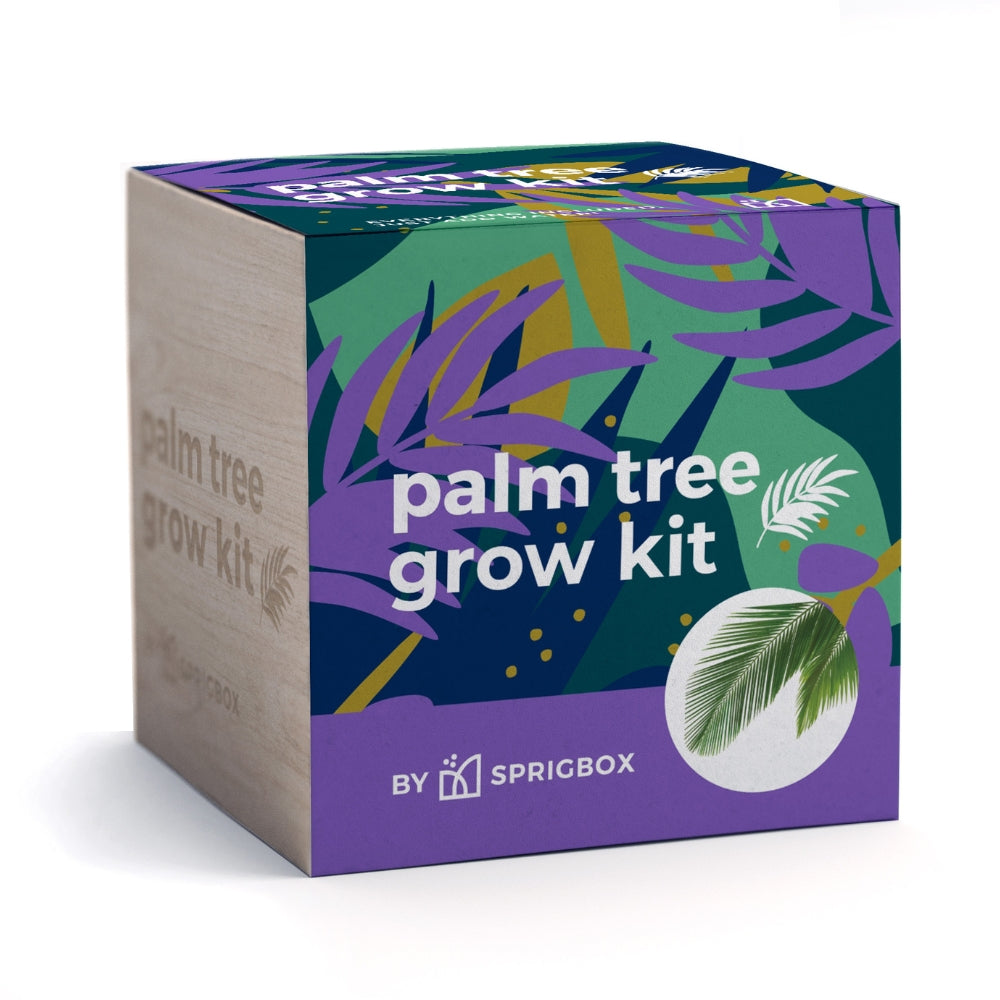 Palm Grow Kit