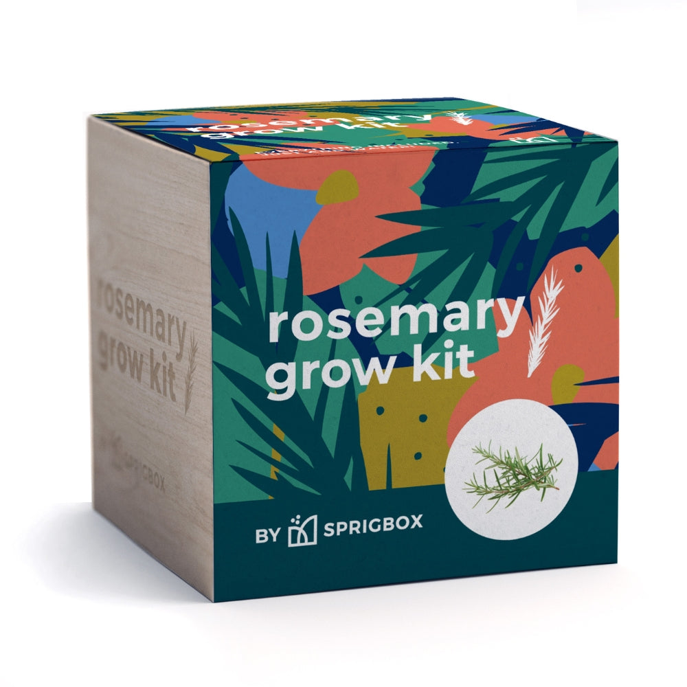 Rosemary Grow Kit