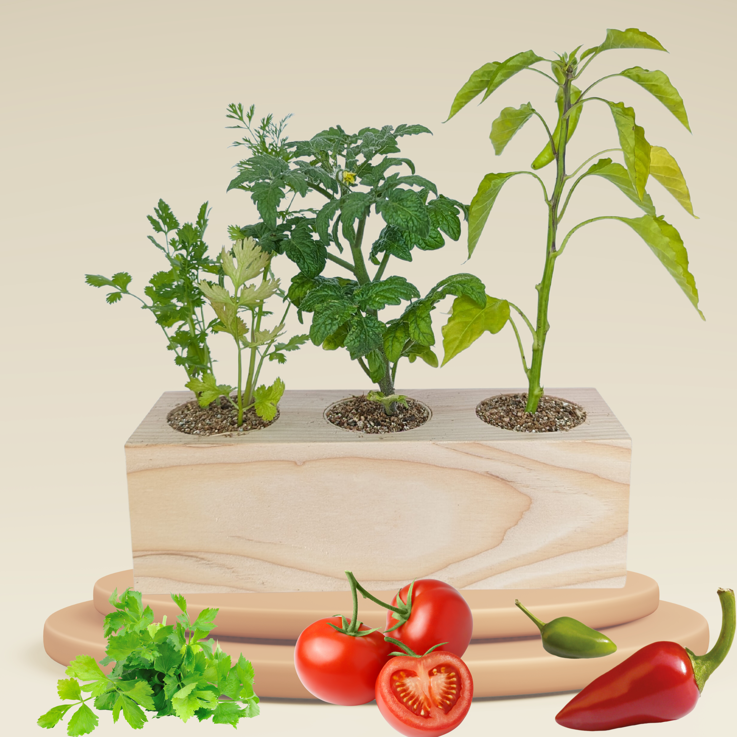 Starter Kit - Salsa Garden - Sprigbox