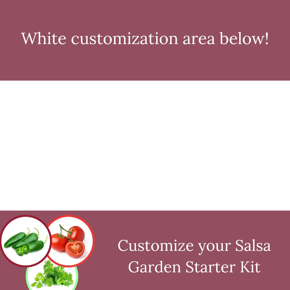 Custom - Starter Kit