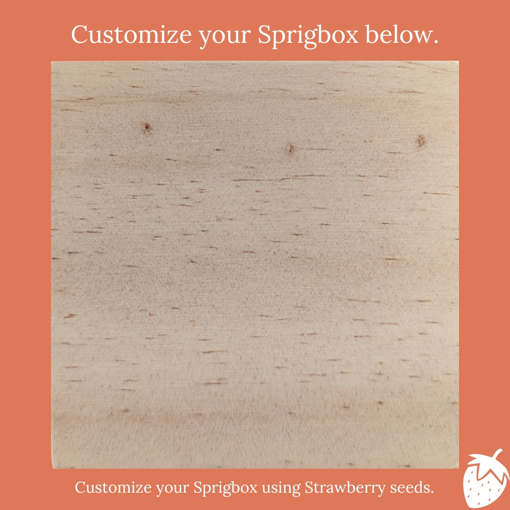 Custom - Original Sprigbox | Wooden Planter Grow Kit