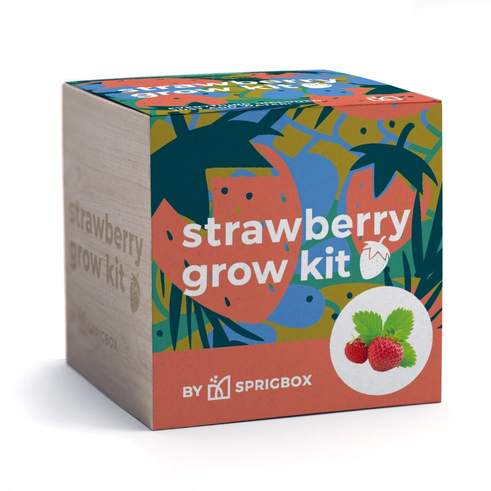 Strawberry Grow Kit