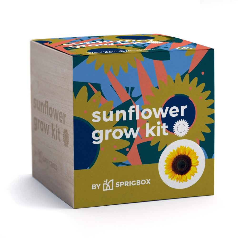 Sunflower Grow Kit