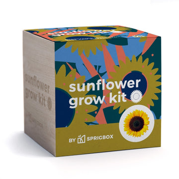 Sunflower Grow Kit