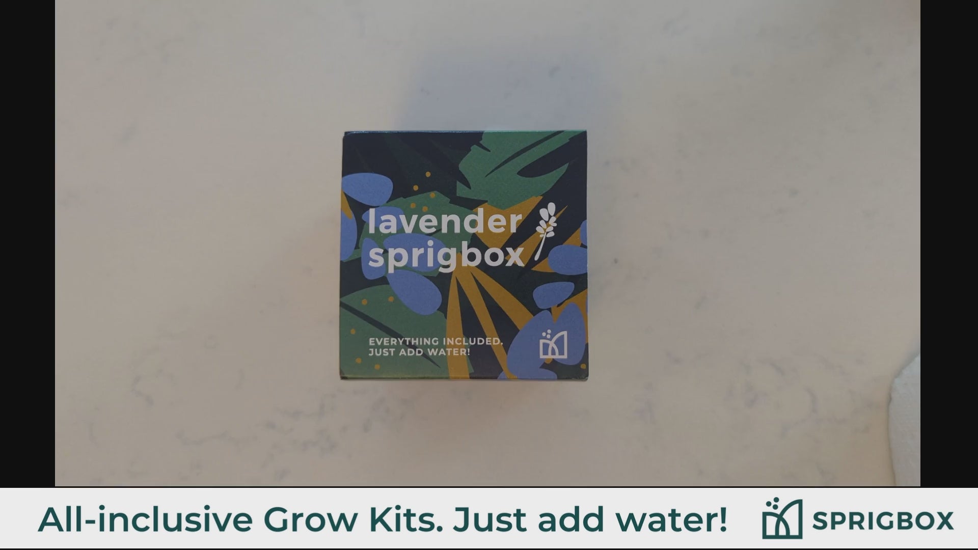 Load video: Grow Kit - Lavender
