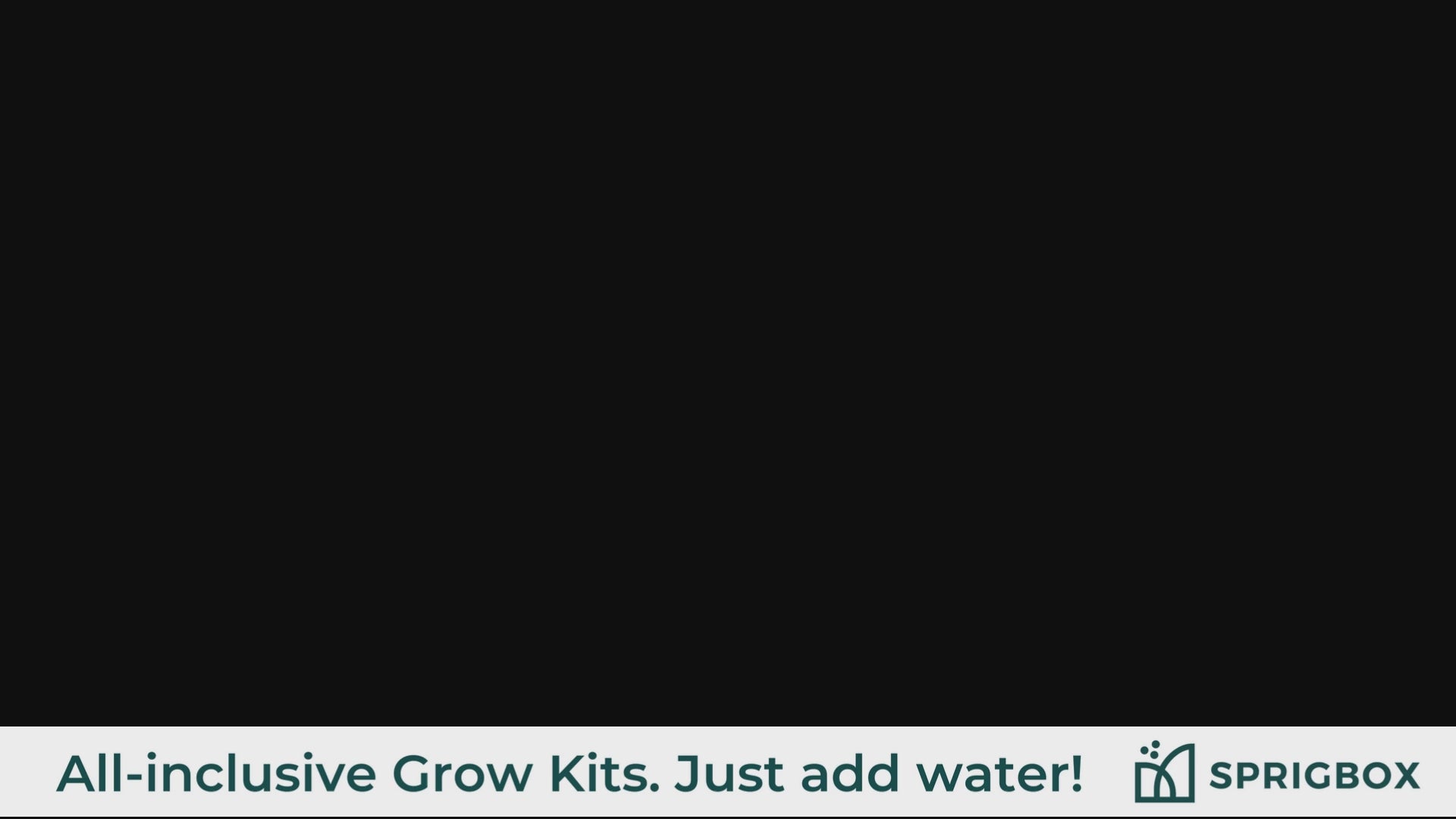 Load video: Grow Kit - Sunflower