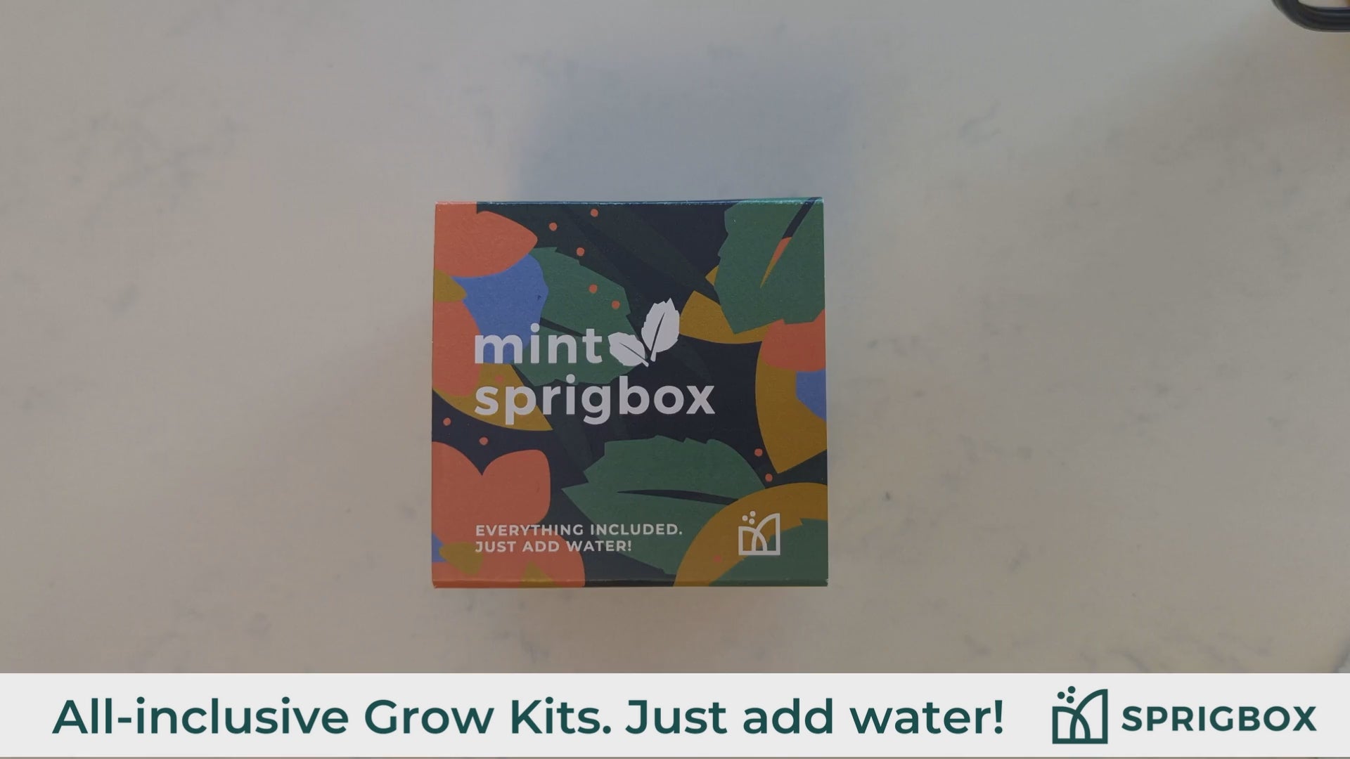 Load video: Grow Kit - Orchid Tree